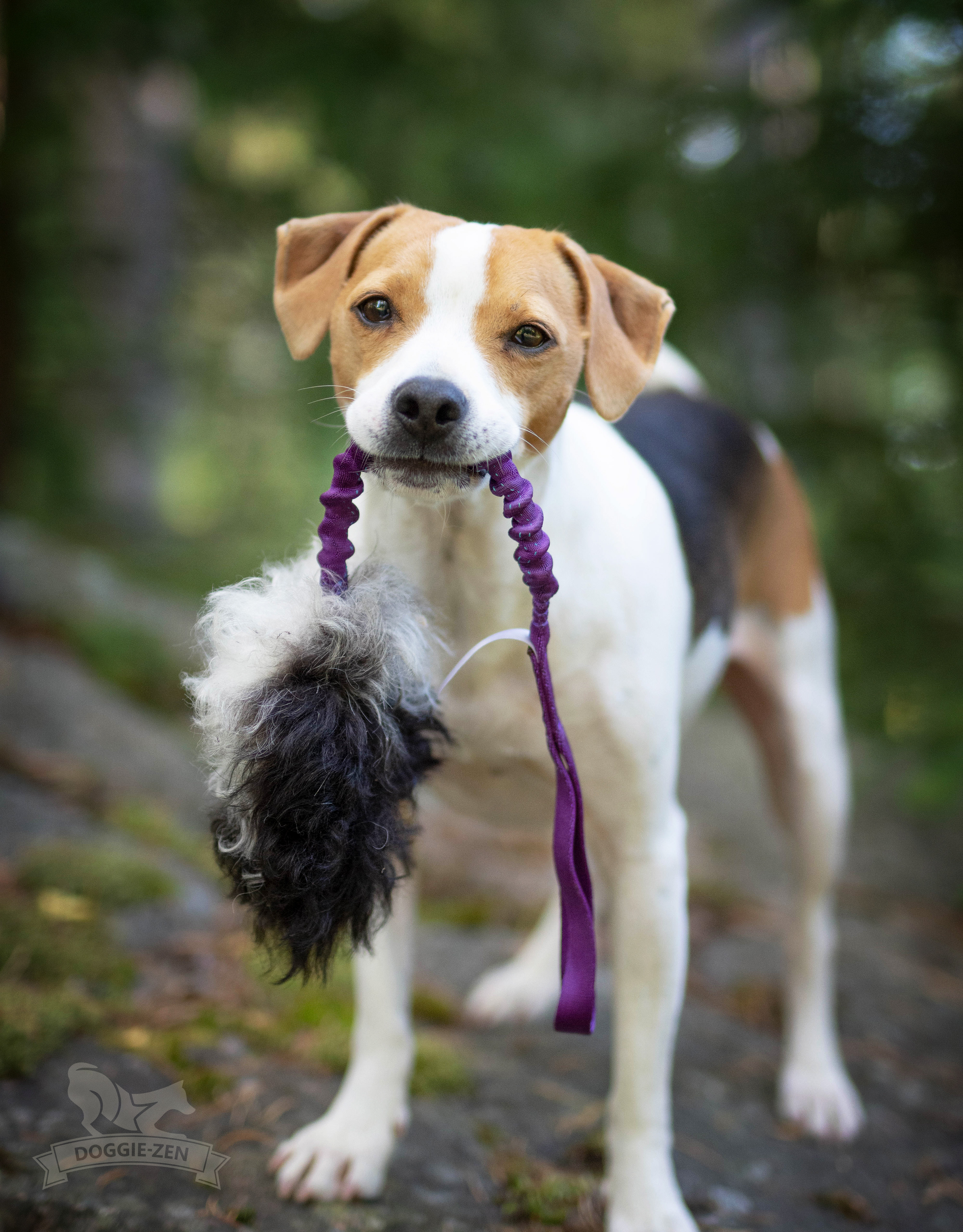 Bungee Treat Tug Sheepskin S