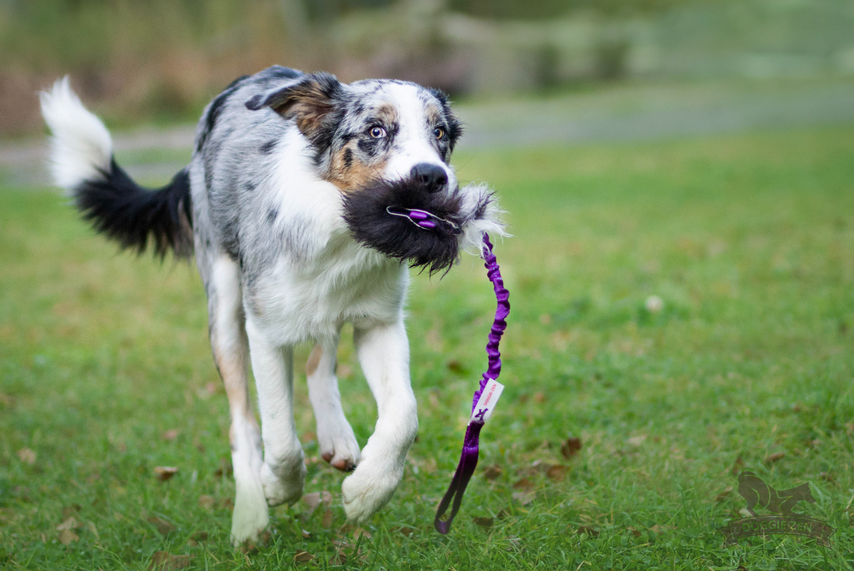 Bungee Treat Tug Sheepskin S - 11