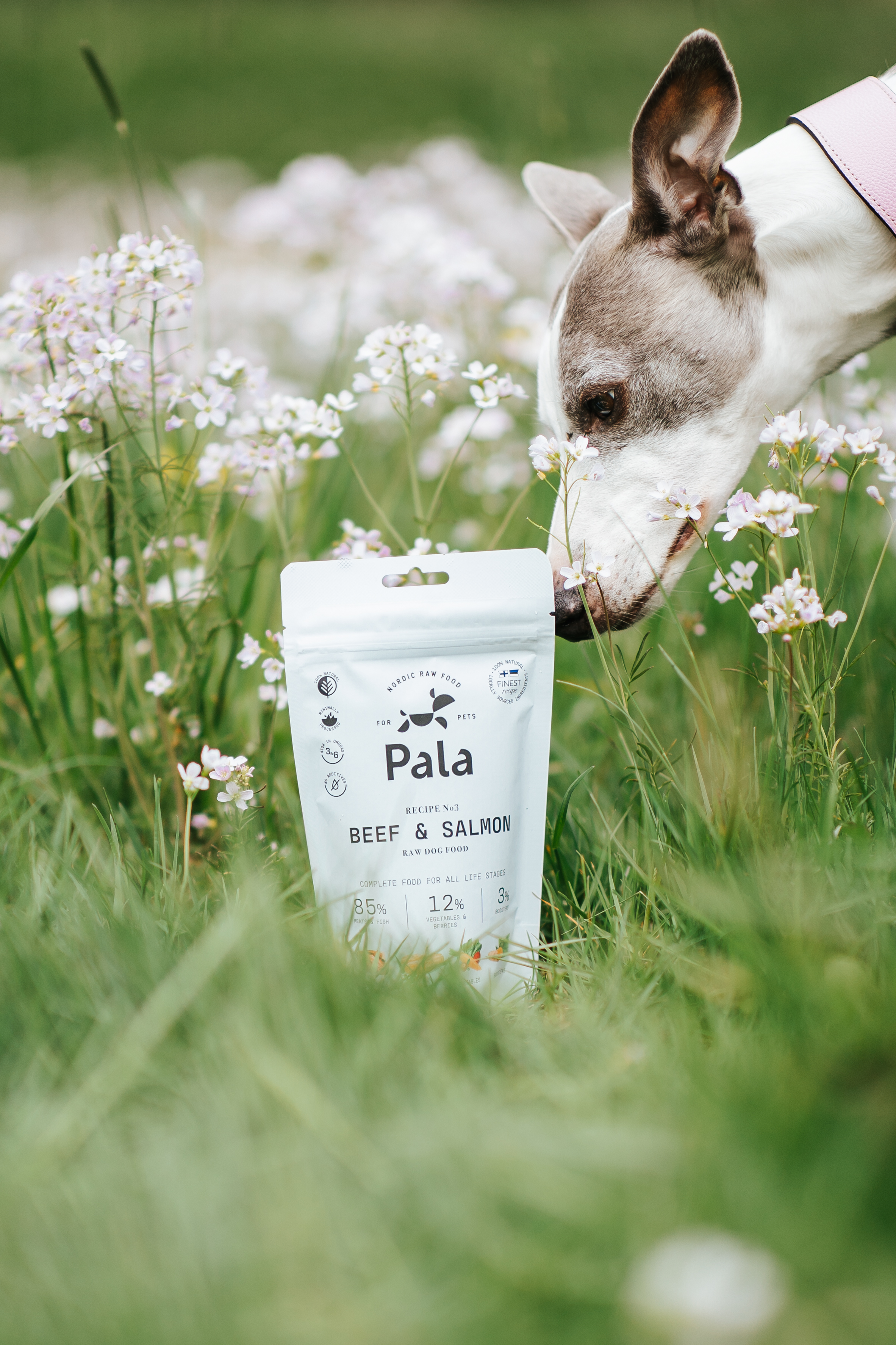 Pala Recept #3 - Nötkött & lax 100 g - 4