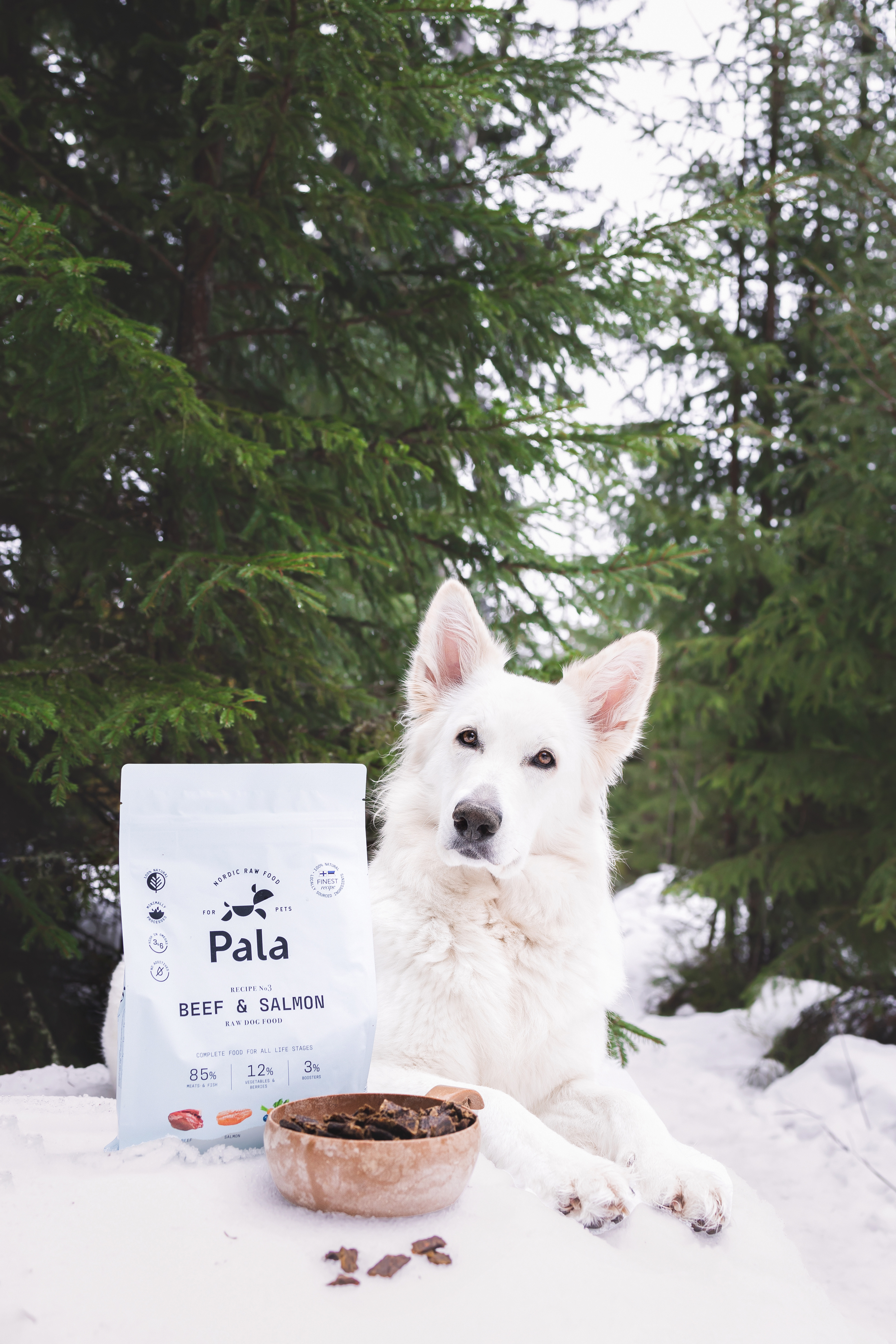 Pala Recept #3 - Nötkött & lax 1 kg - 5