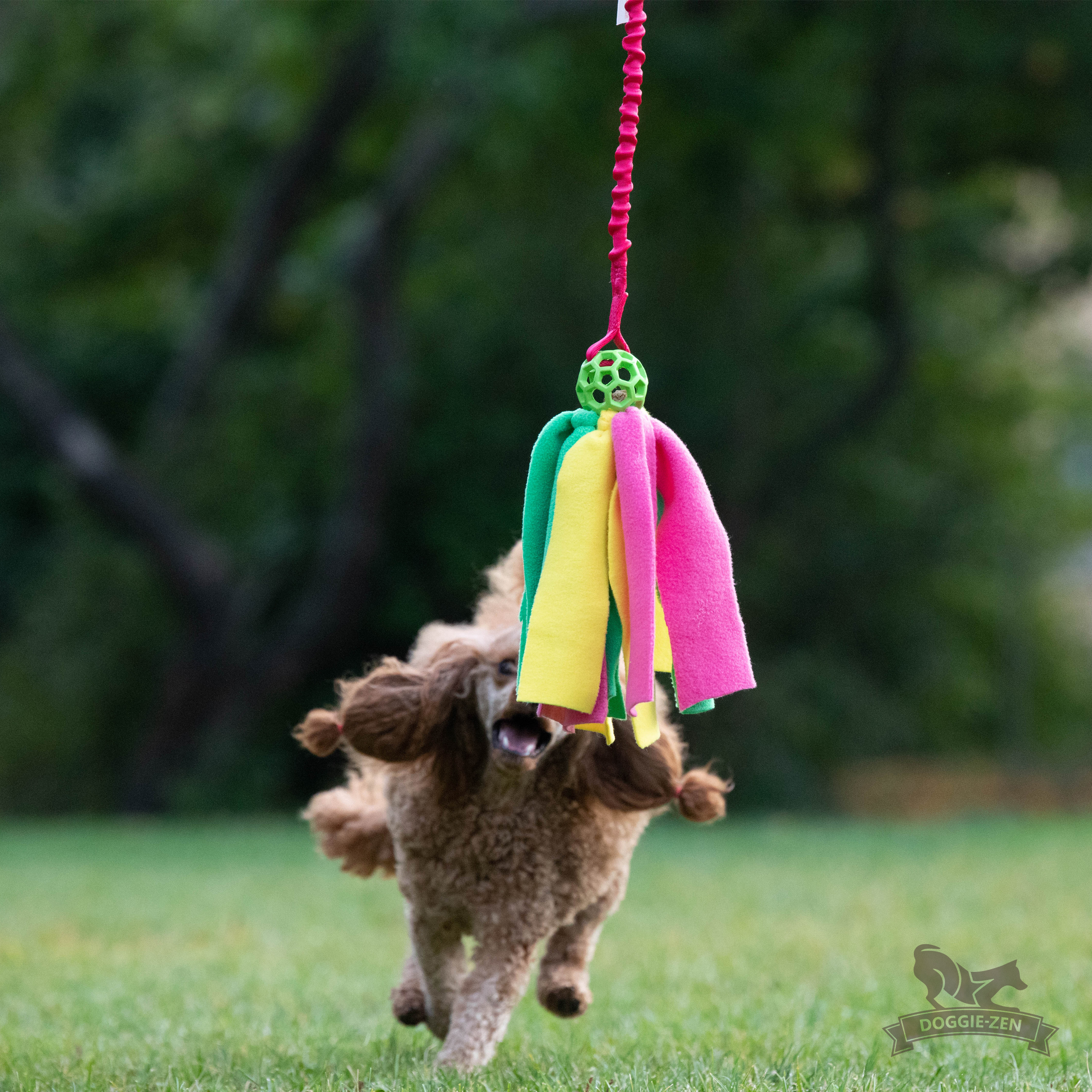 Bungee Hol-ee Octopus Tug S - 7