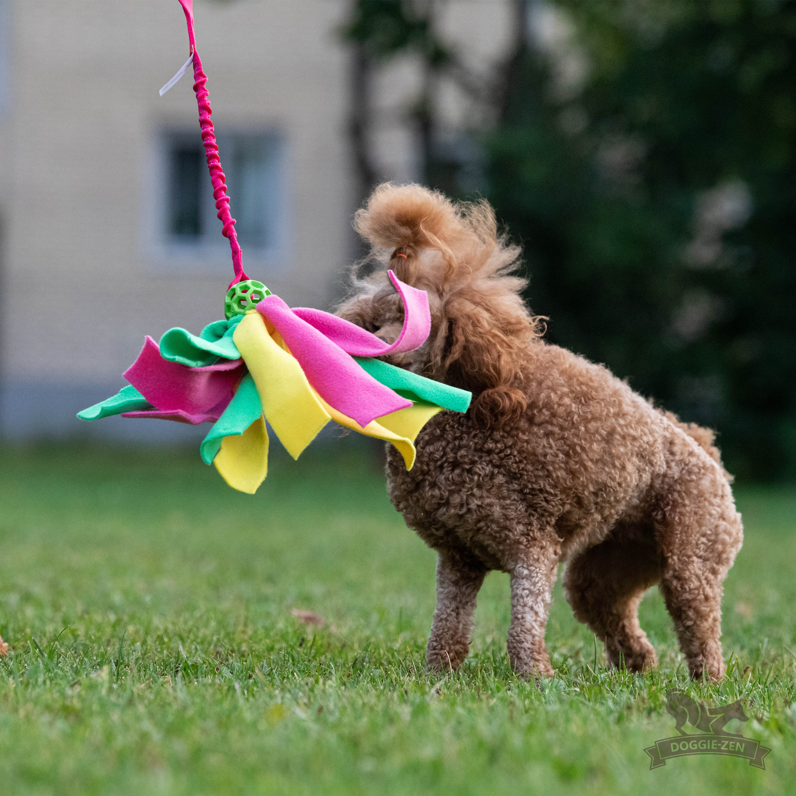 Bungee Hol-ee Octopus Tug S - 8