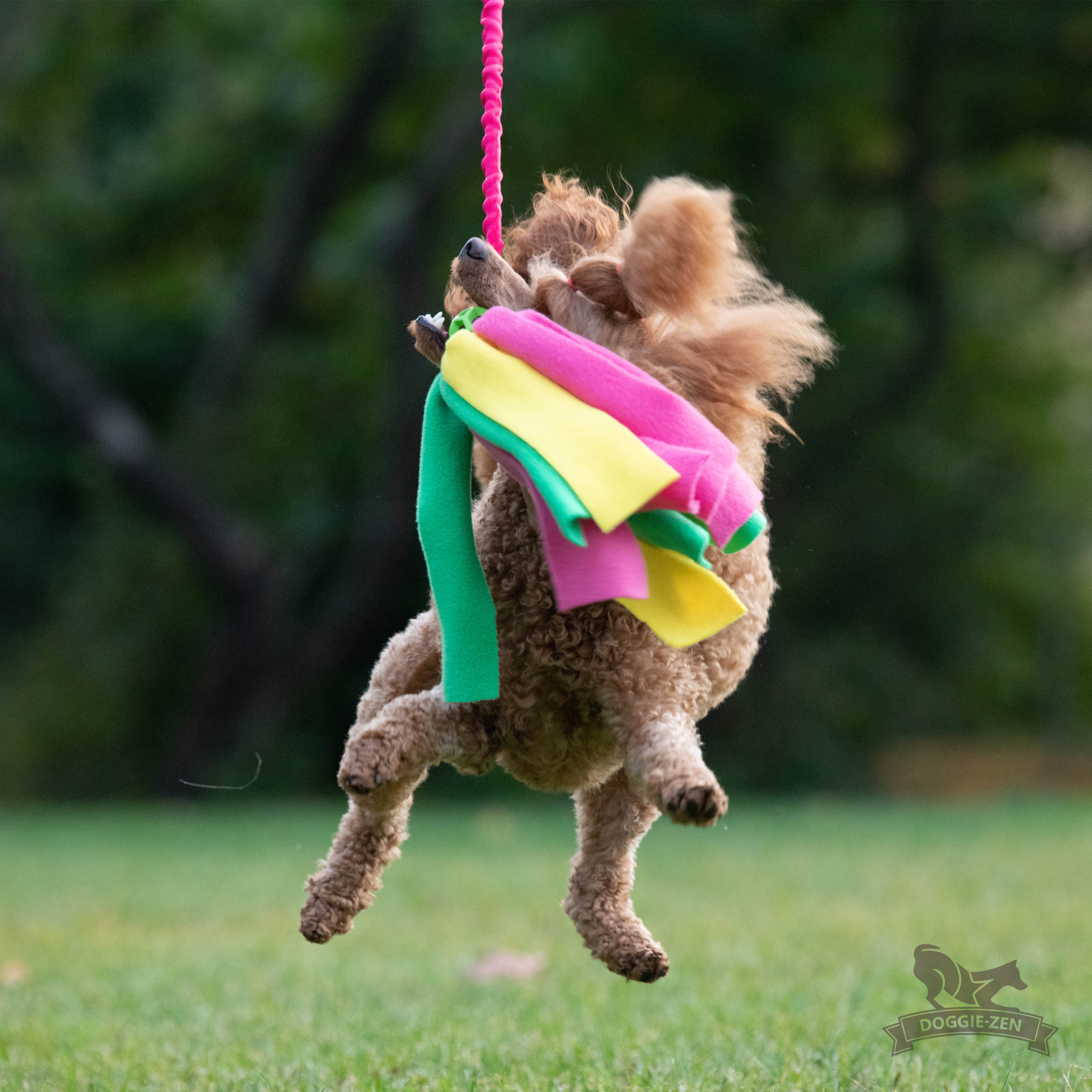 Bungee Hol-ee Octopus Tug S - 9