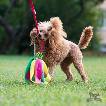 Bungee Hol-ee Octopus Tug S