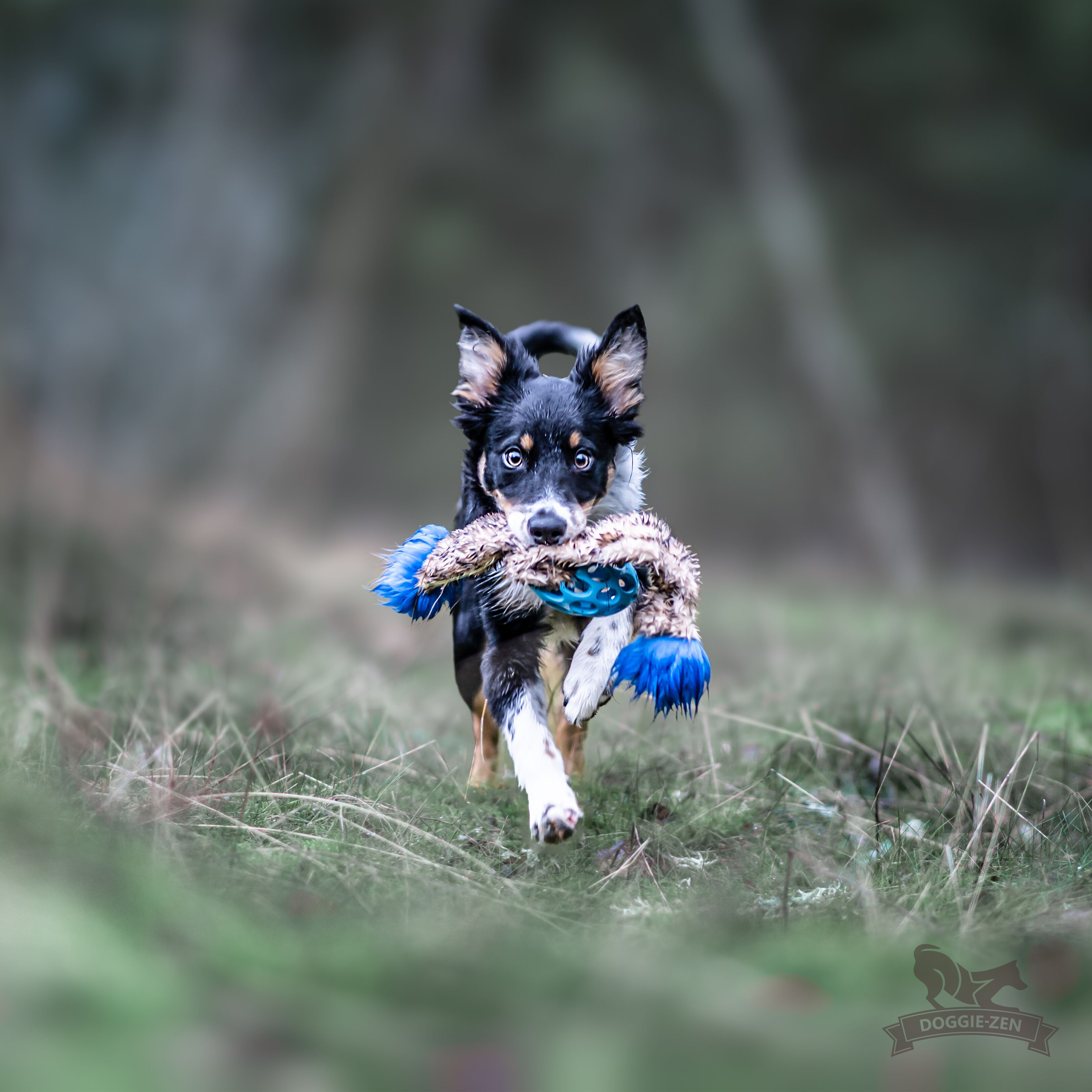 Hol-ee Crinkle'n Squeak Rocket M - 3