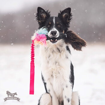 Bungee Squeaker Tube Sheepskin Tug
