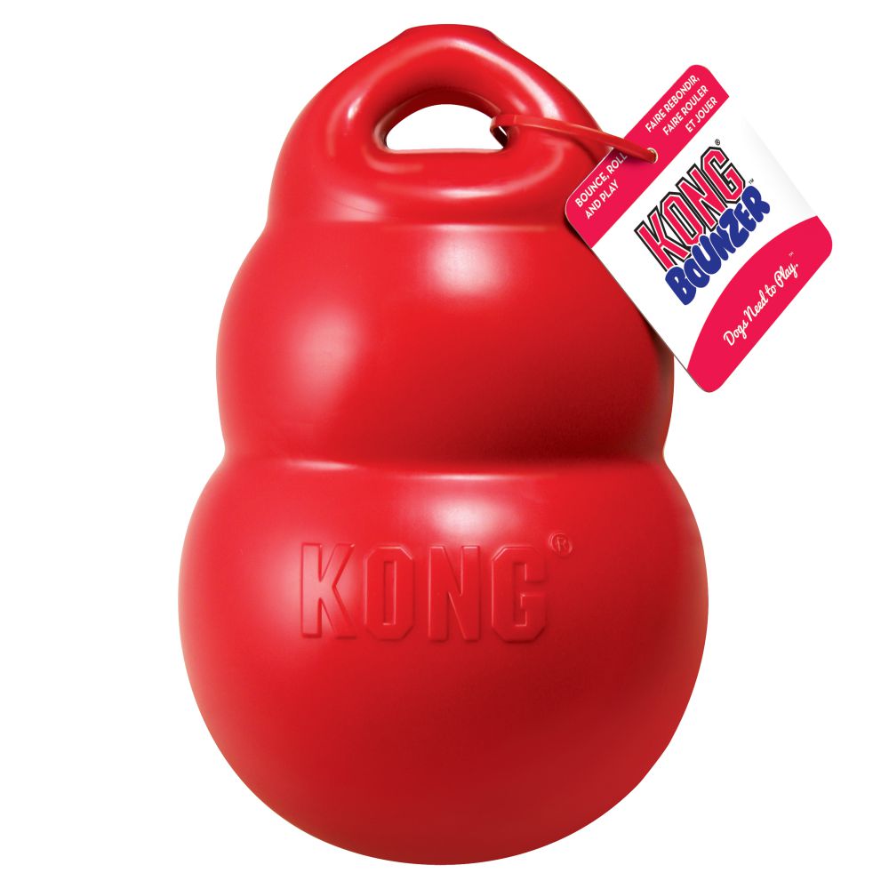 KONG Bounzer M - 3