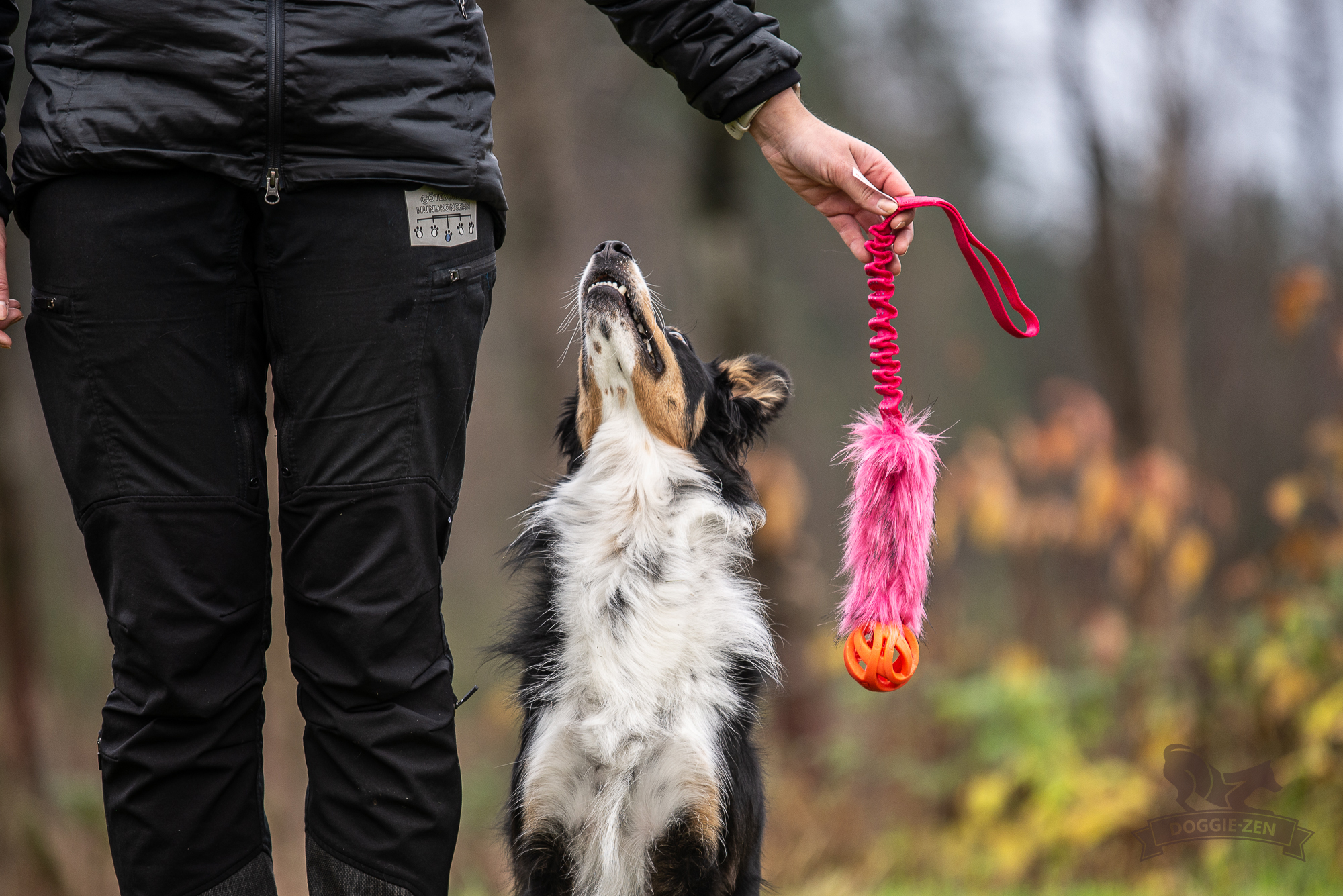 Elastisk fuskpälskampis L med Chuckit Air - 3