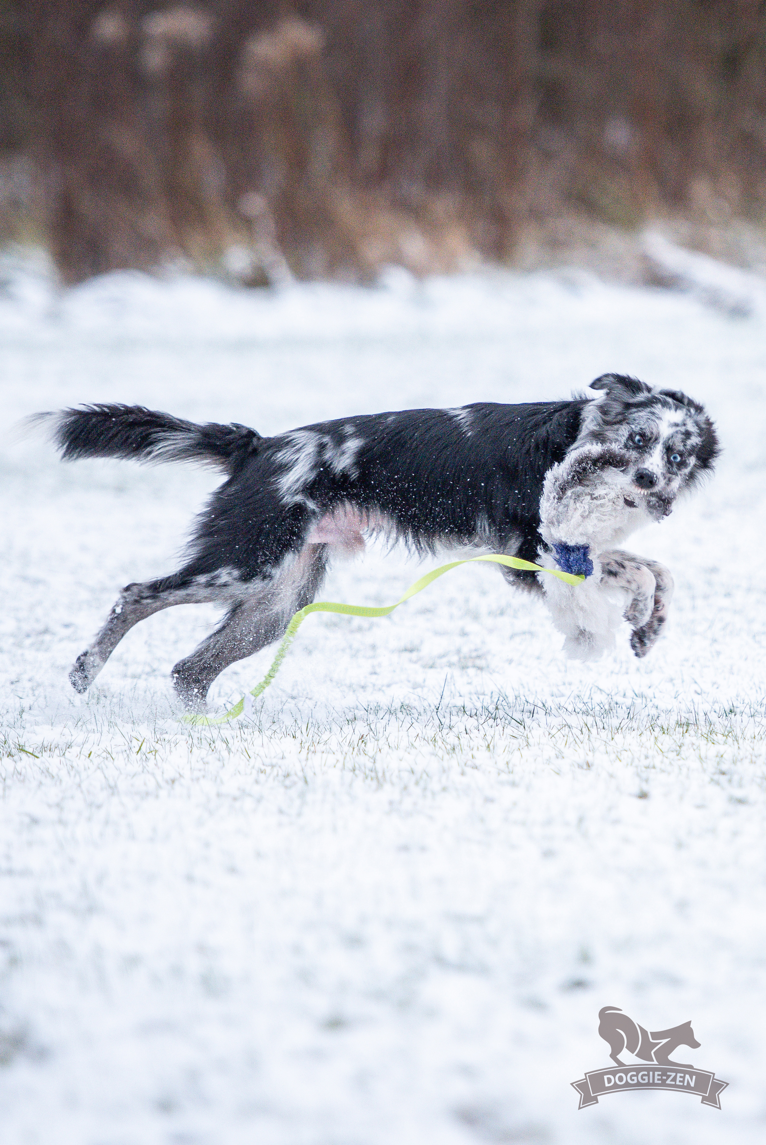 Octopus Sheepskin Chaser - 12