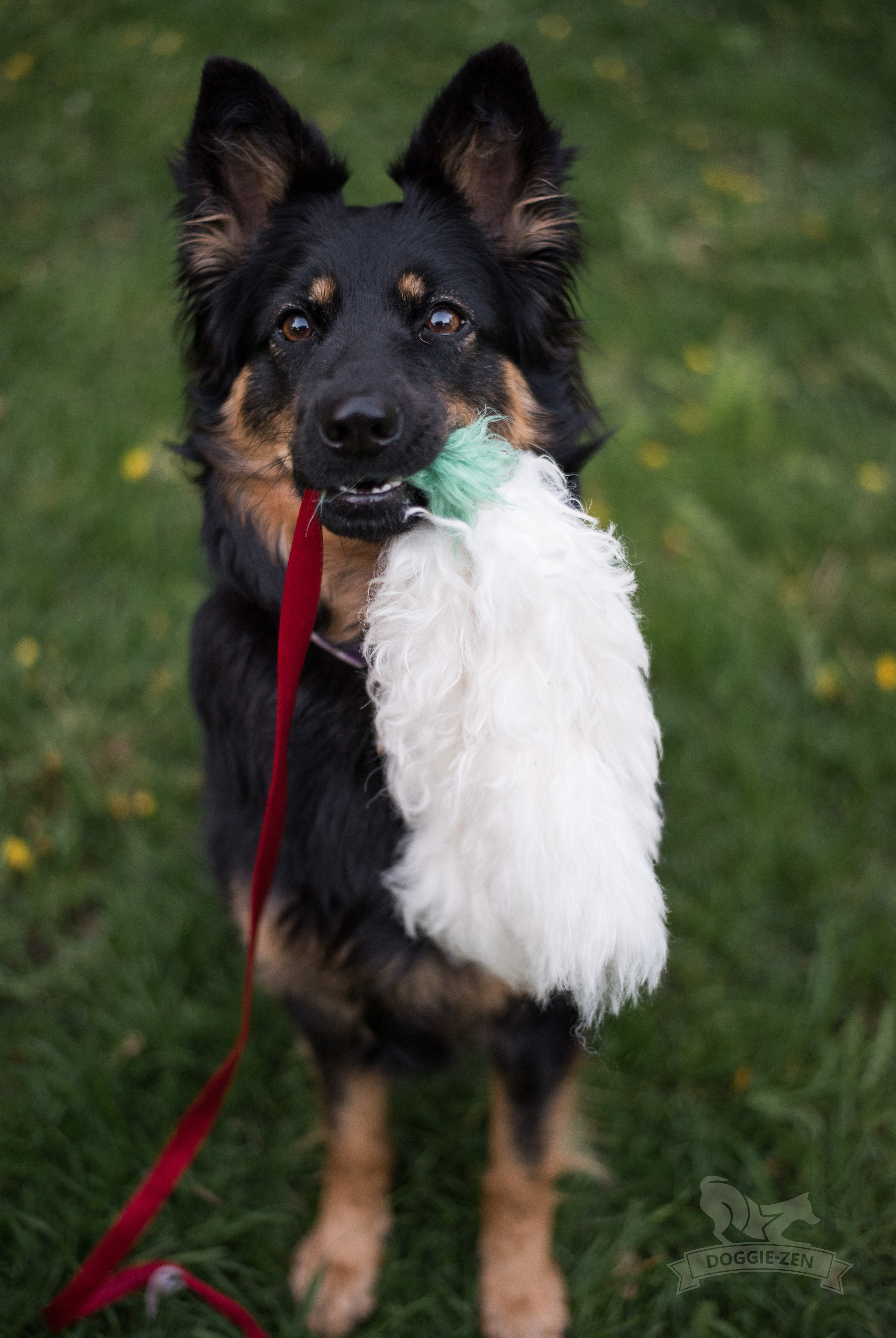 Octopus Sheepskin Chaser - 4