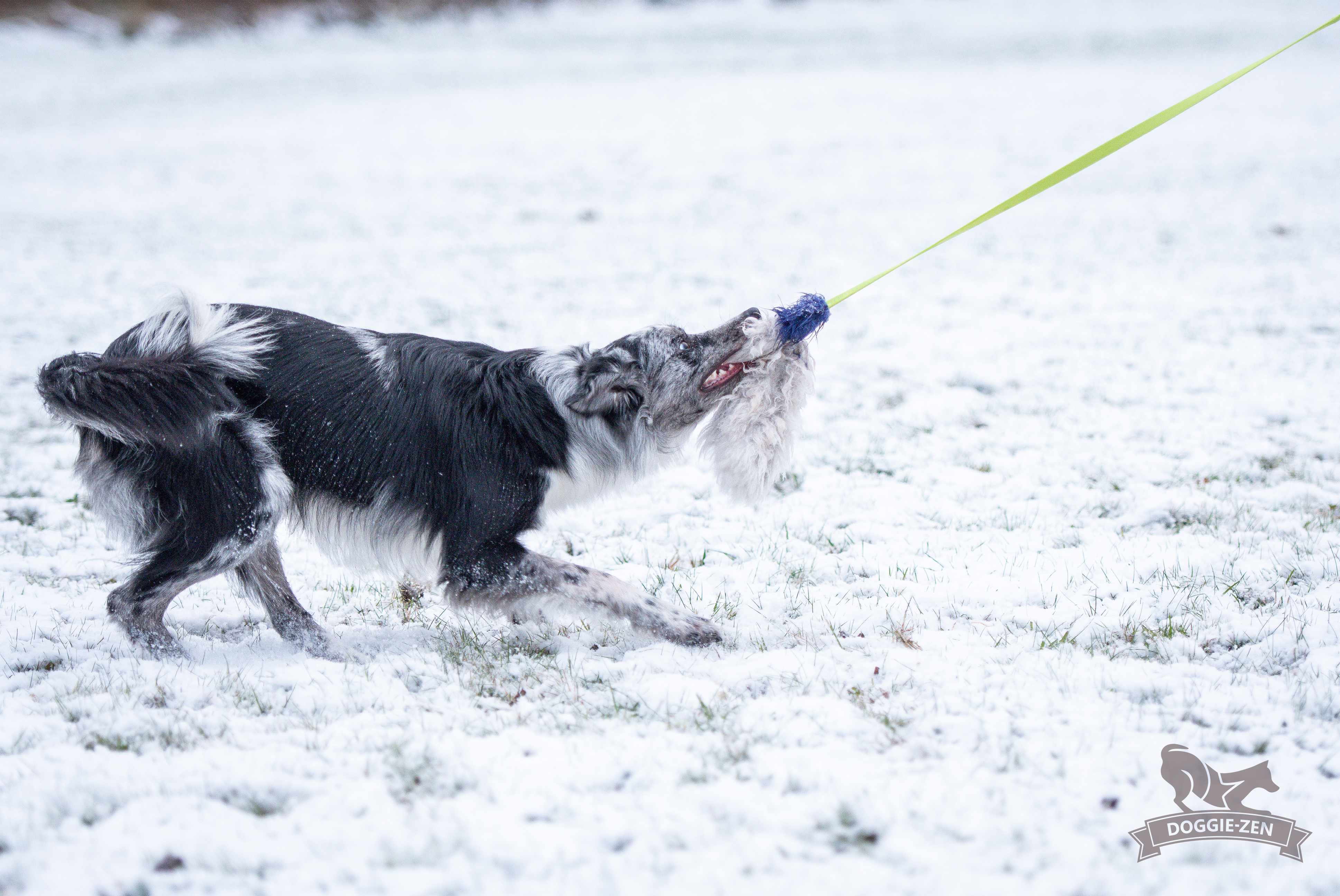 Octopus Sheepskin Chaser - 17