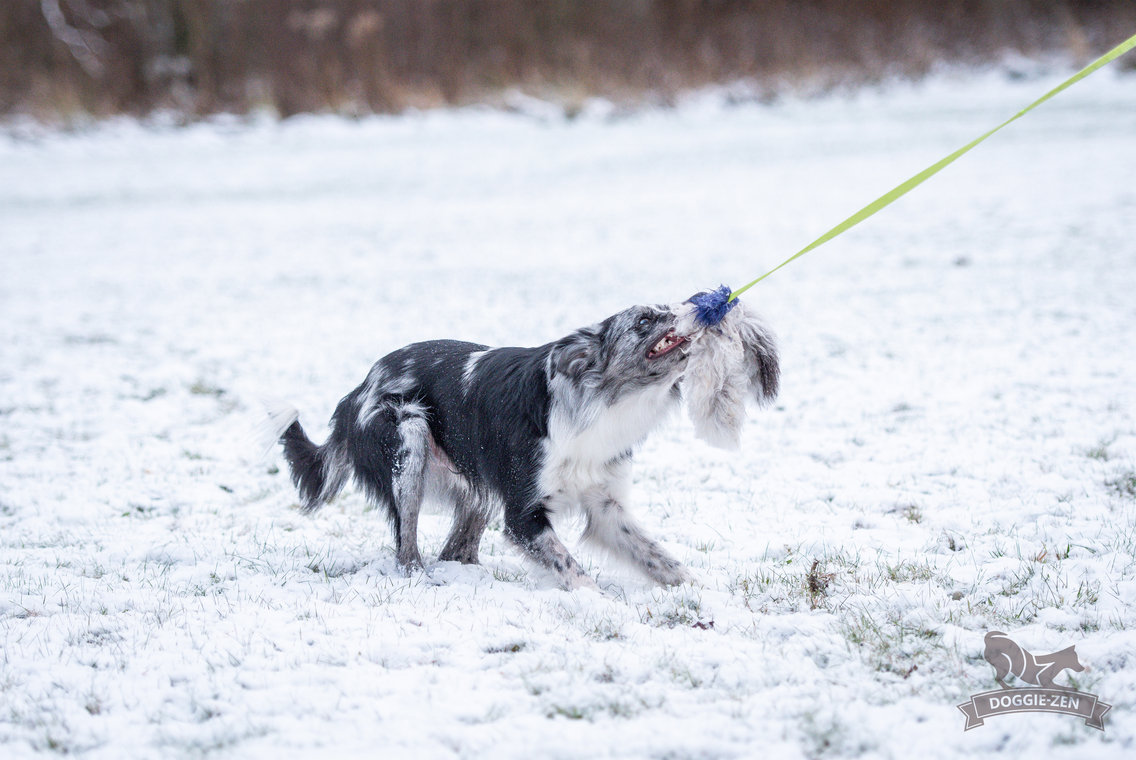 Octopus Sheepskin Chaser - 18