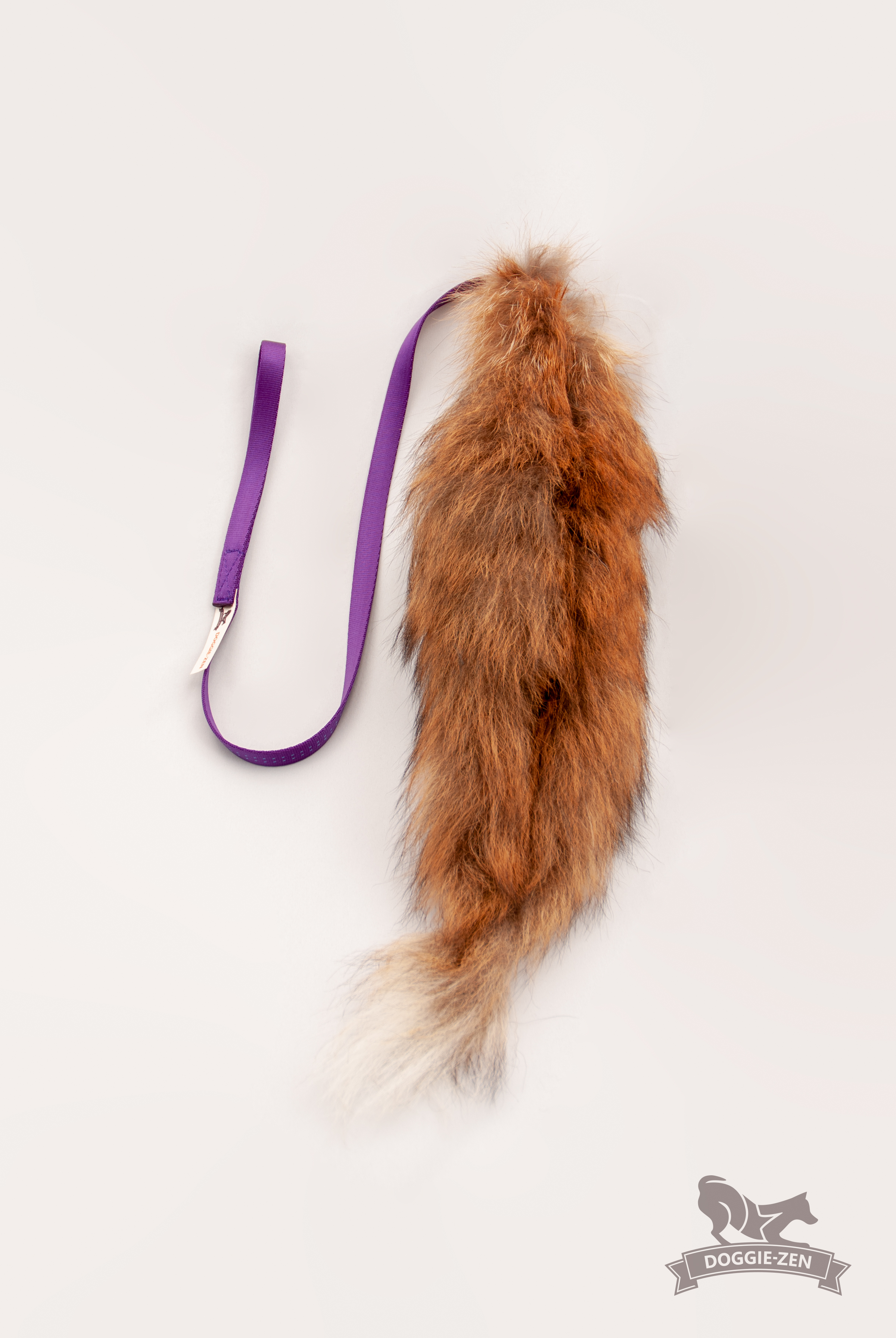 Fox Tail Chaser - 2