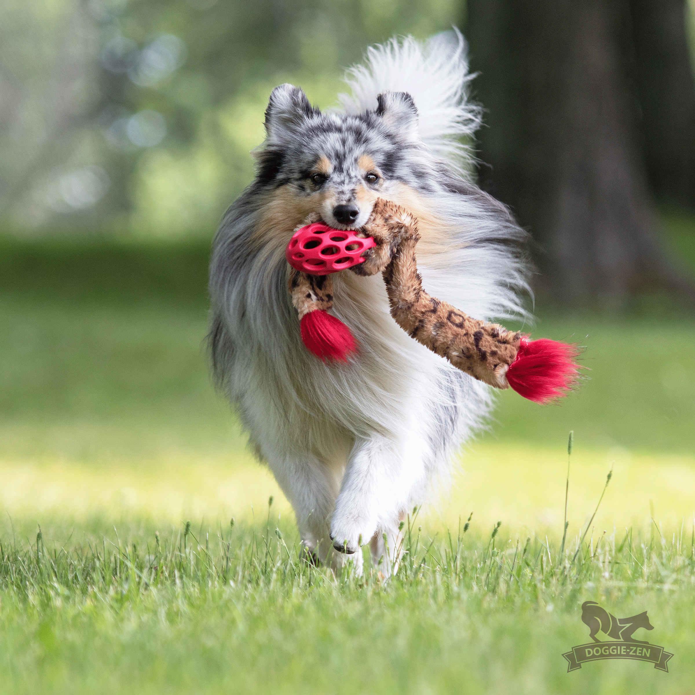 Hol-ee Crinkle'n Squeak Rocket S - 4
