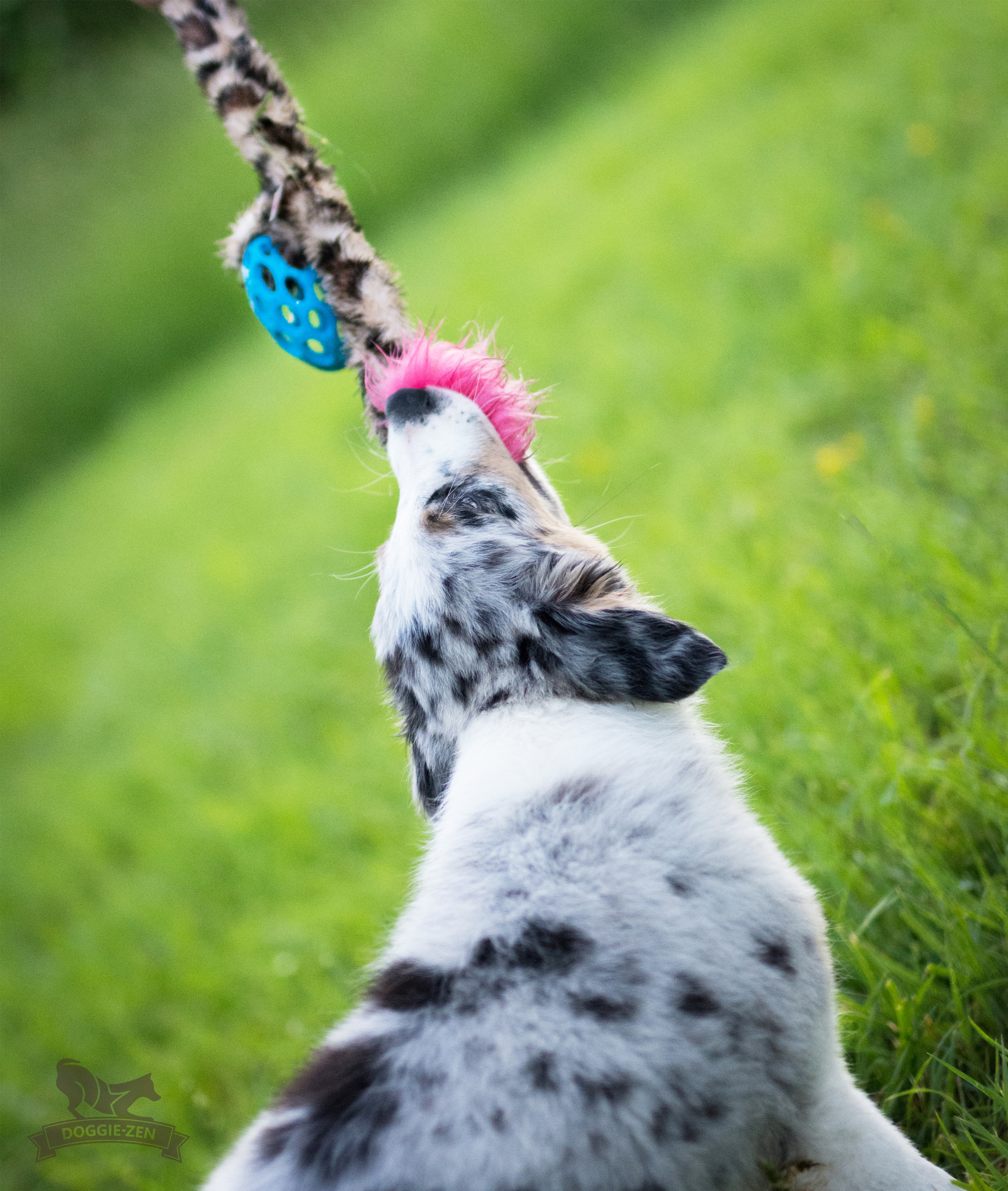 Hol-ee Crinkle'n Squeak Rocket S - 11