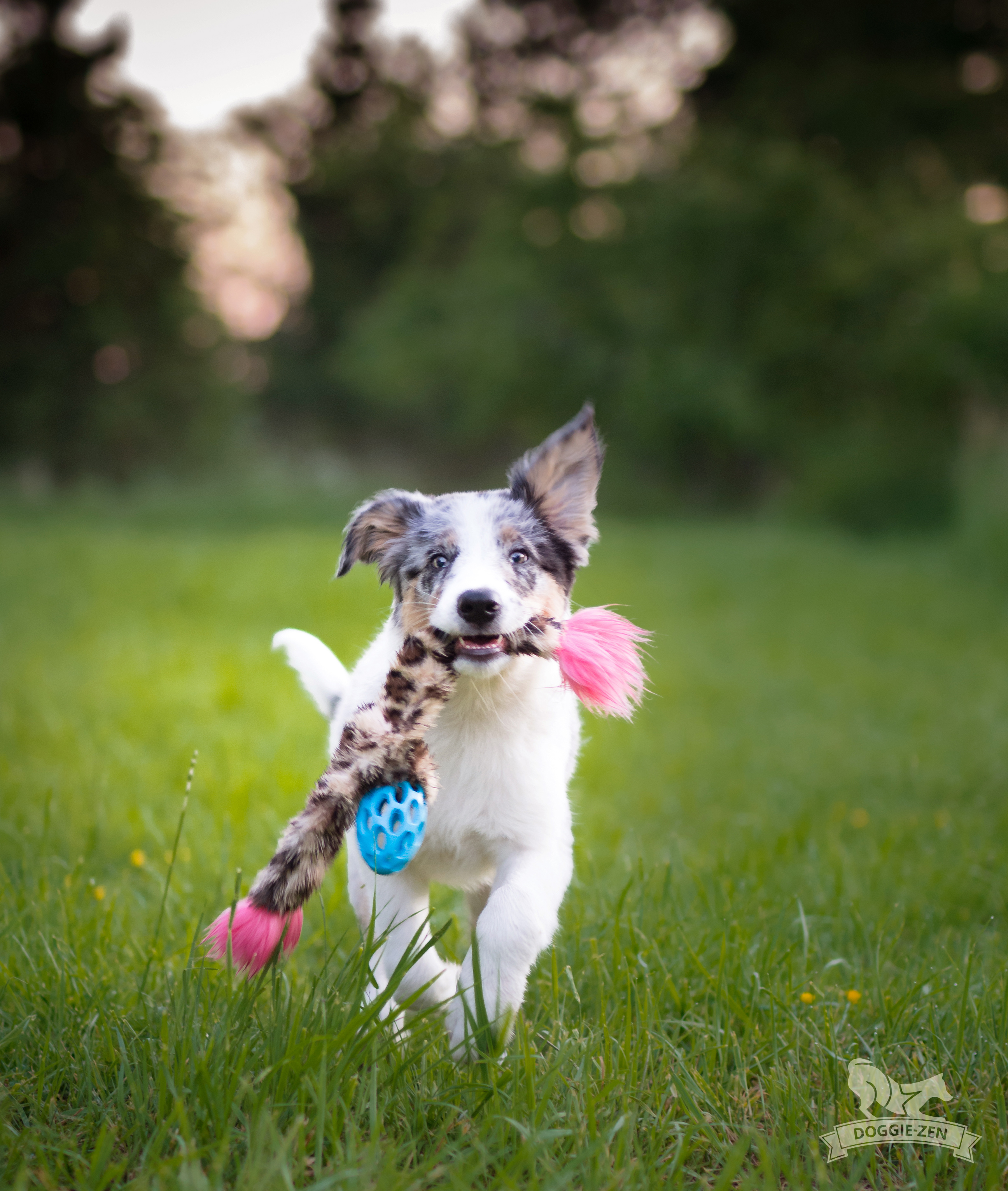 Hol-ee Crinkle'n Squeak Rocket S - 14