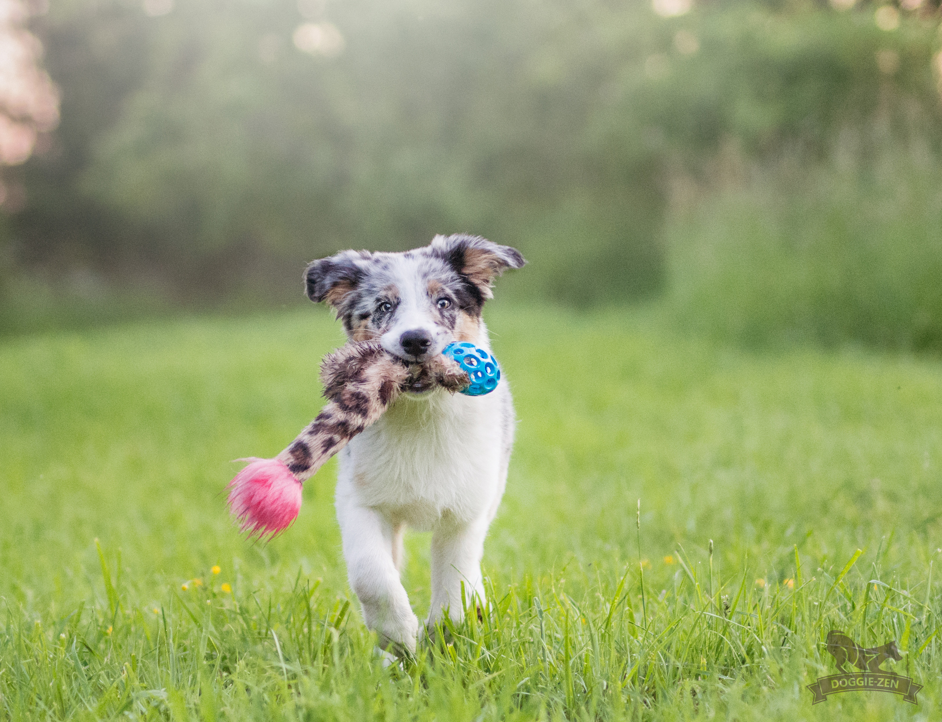 Hol-ee Crinkle'n Squeak Rocket S - 10