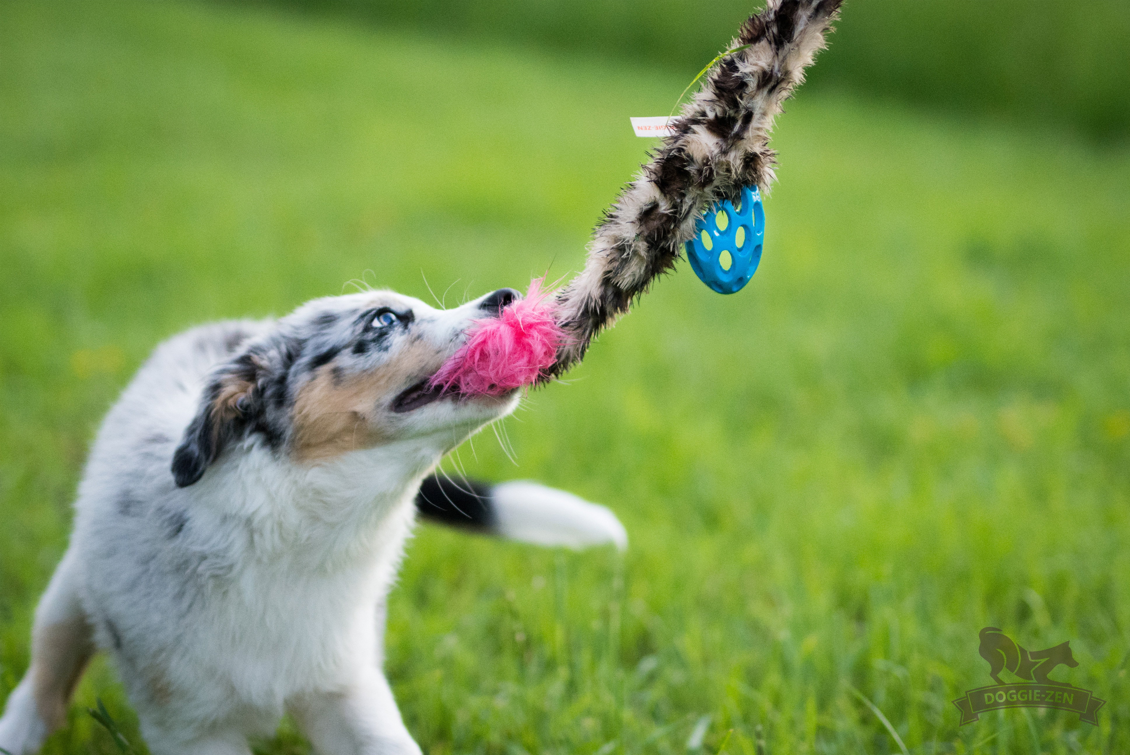 Hol-ee Crinkle'n Squeak Rocket S - 9