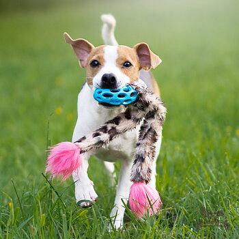 Hol-ee Crinkle'n Squeak Rocket S