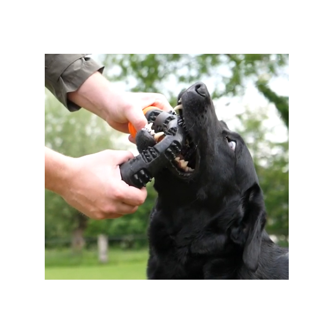 Dog Comets Meteor Stick large - 9