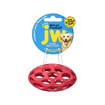 Hol-ee football mini