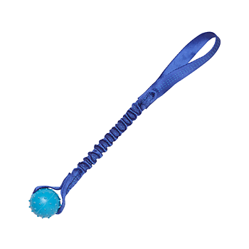Pimple Ball Bungee 