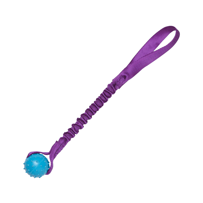 Pimple Ball Bungee  - 2