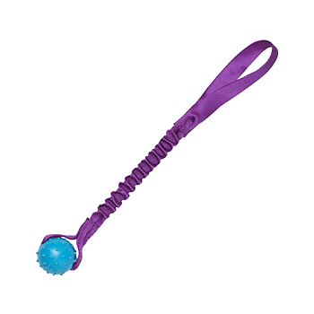 Pimple Ball Bungee 