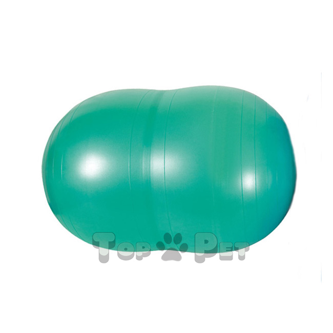 Physio Roll Plus 55