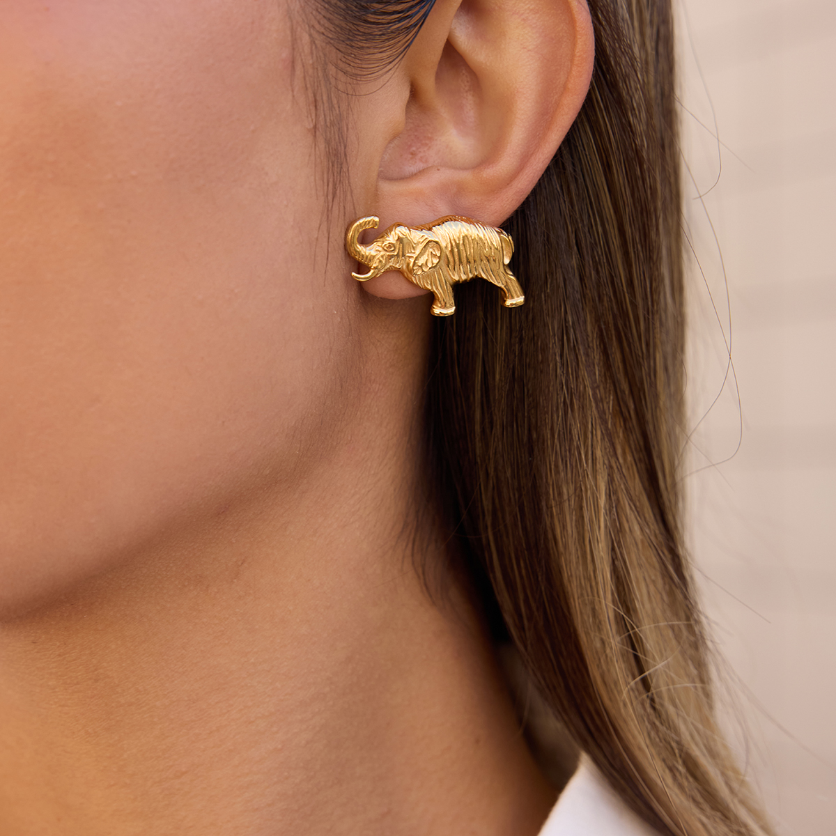 Céleste Earrings Bellancie 18K Gold - 5