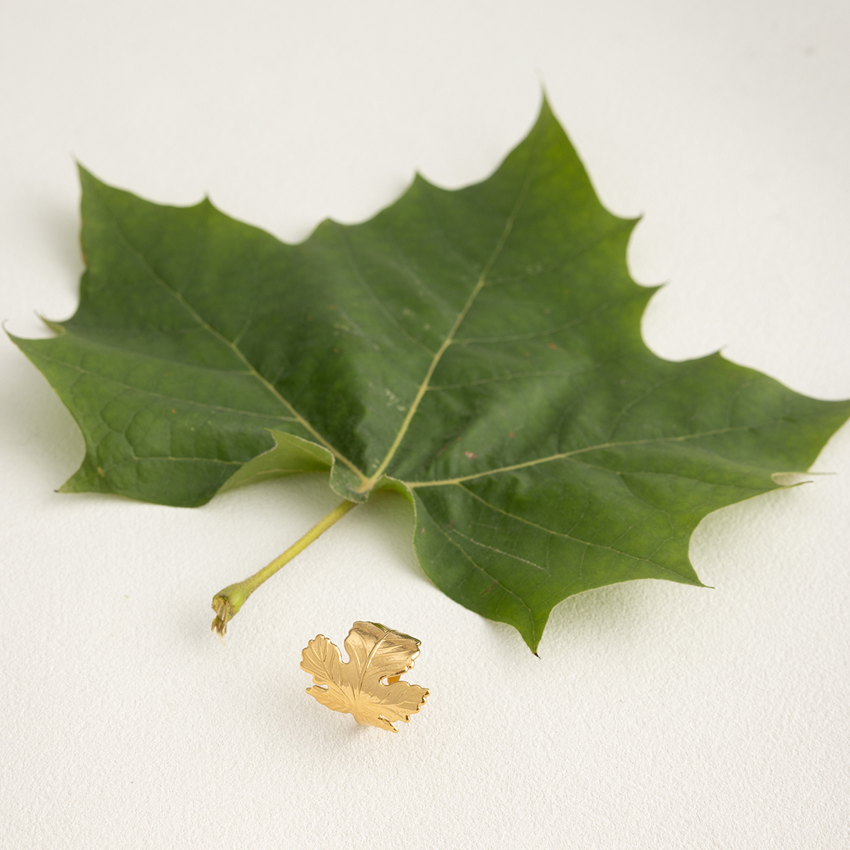 Céleste Ring Fiorélise 18K Gold - 8