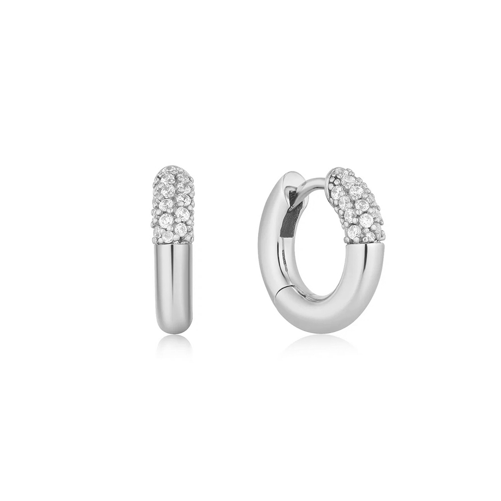 Canard Jewelry S925 Earrings Tatum Platinum