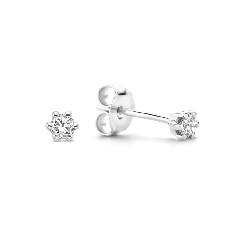 Canard Jewelry S925 Earrings Presley Platinum