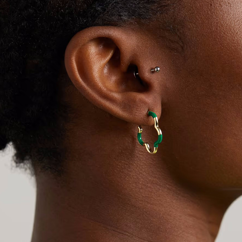 Canard Jewelry S925 Earrings Anniston 18K Gold - 2