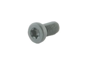 Sauer Recoil Screw
