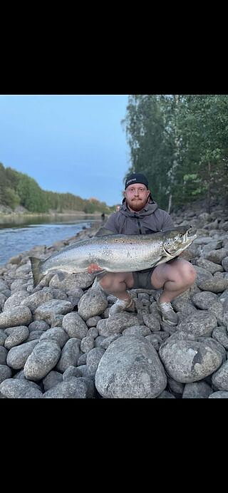 Fiska Lax