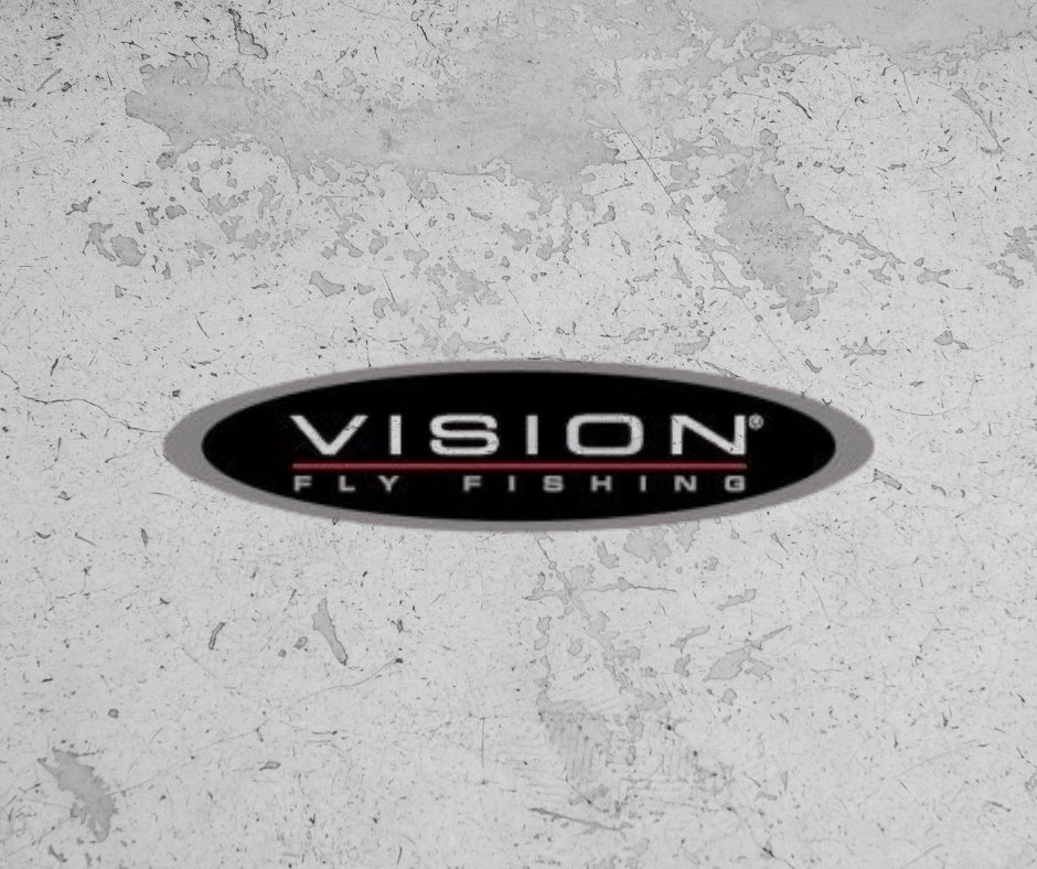 Vision