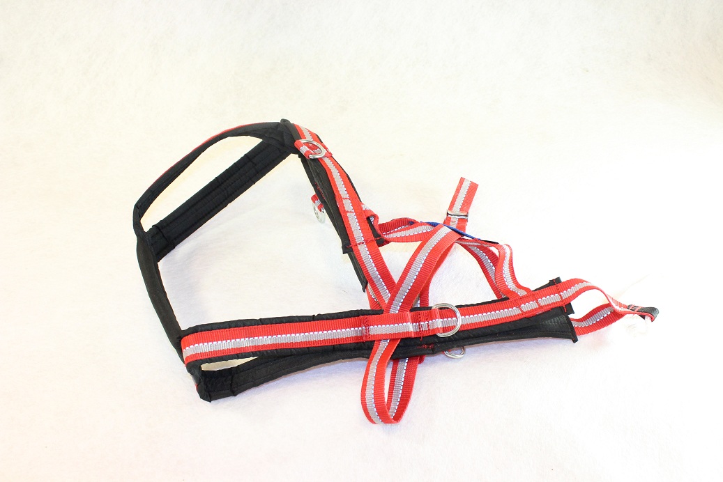 Dog Harness X-back Combi - 3