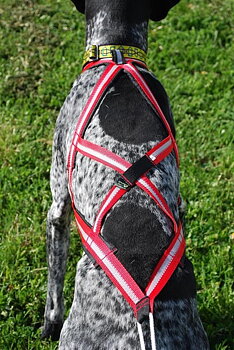 Dog Harness X-back 