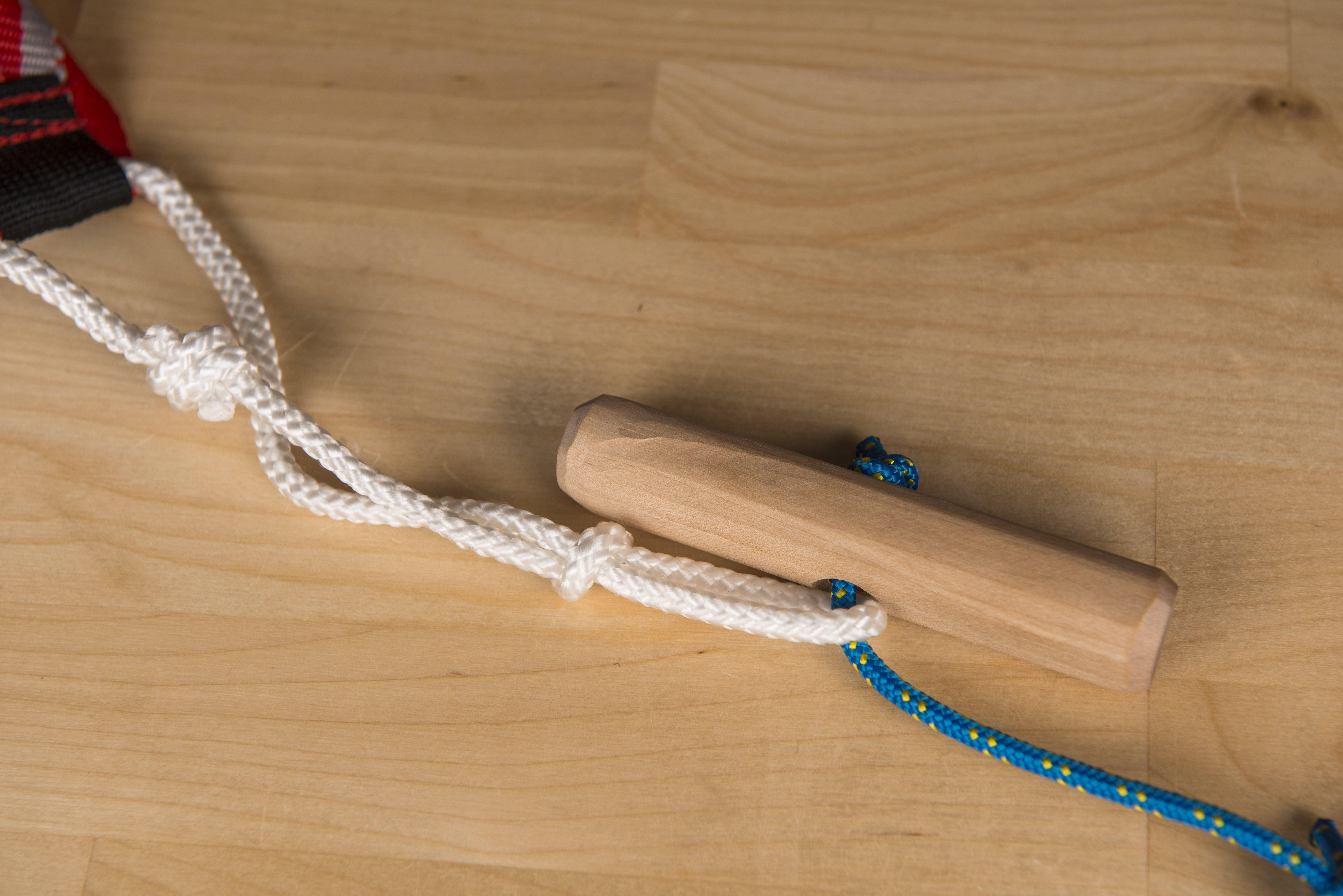 Elastic Skikjoring Line - 5