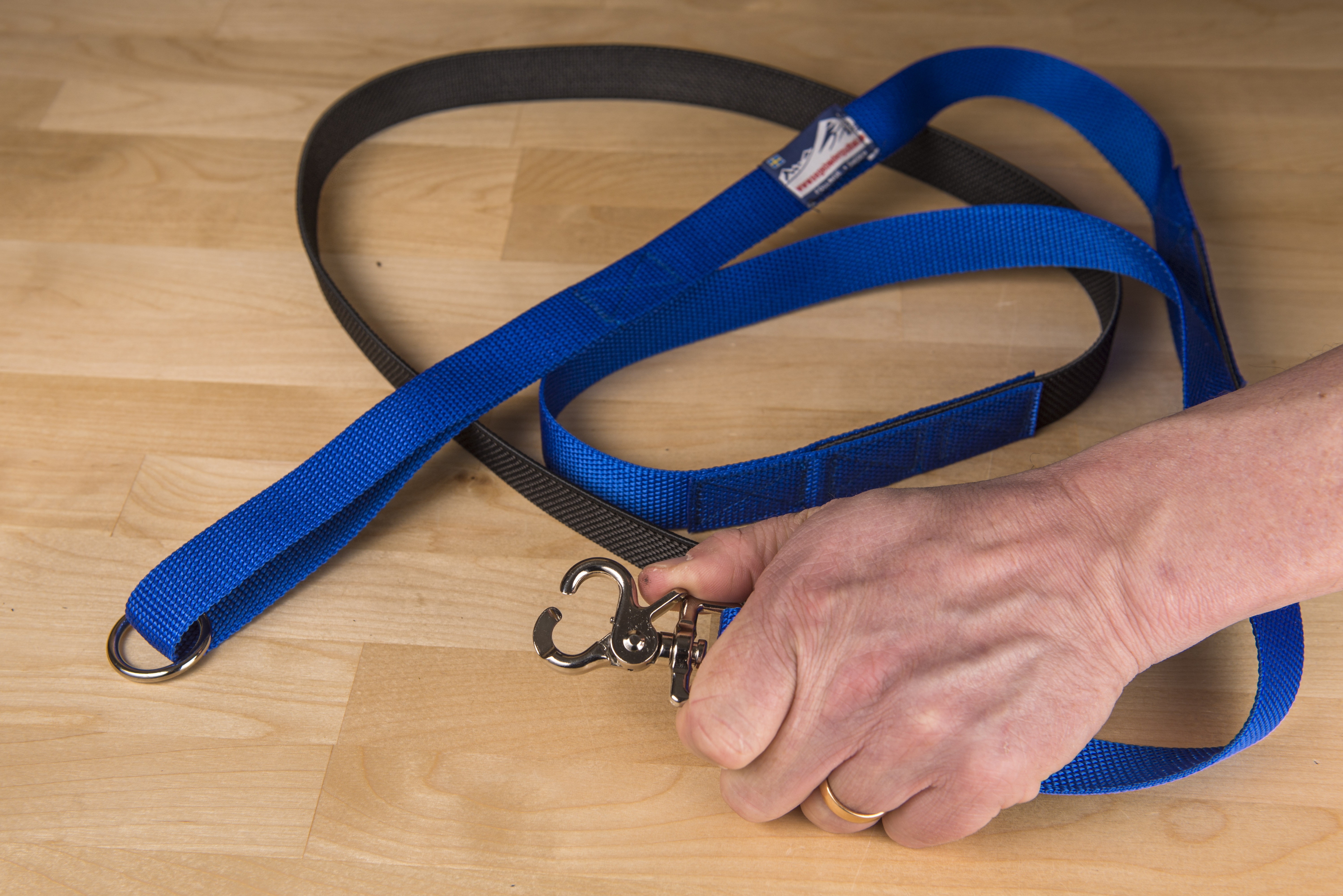 Elastic Skikjoring Line - 4