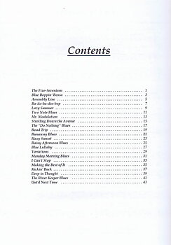 Hip to the blues book 2