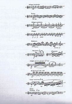 A Selection of Virtuoso Etudes