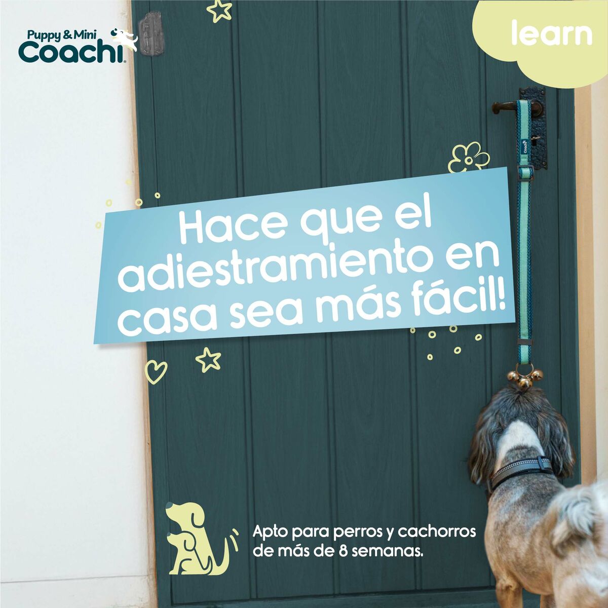 Hundsele Coachi