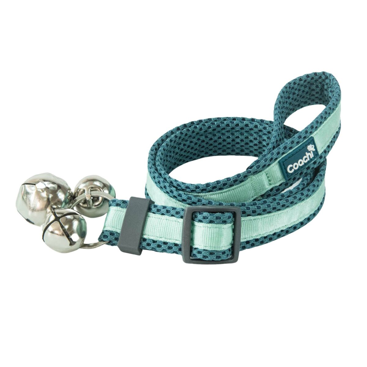 Hundsele Coachi - 2