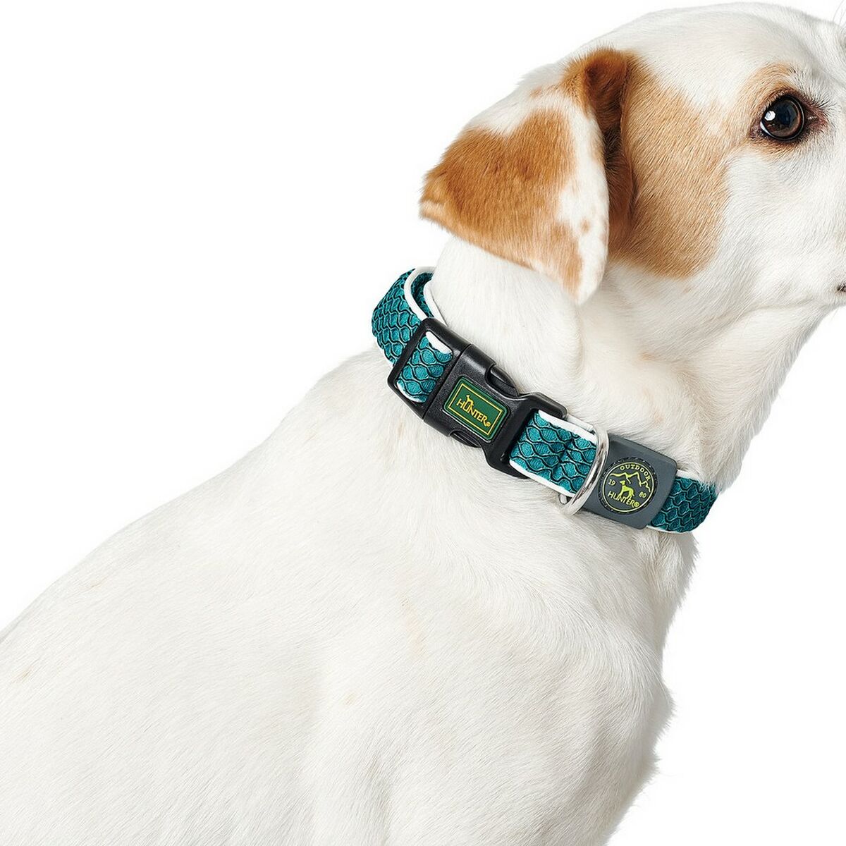 Hundhalsband Hunter Basic Tråd Lime 20 - 2