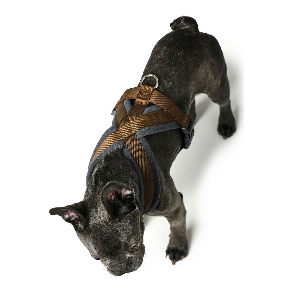 Hundsele Hunter London Comfort 48-56 cm Brun Storlek S/M - 4