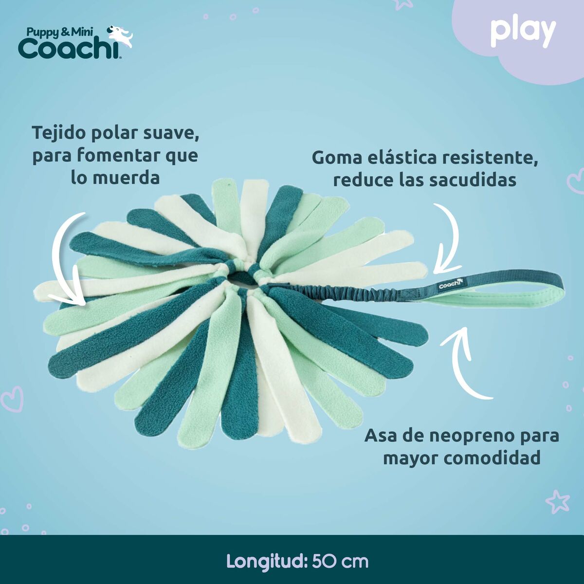 Hundsele Coachi