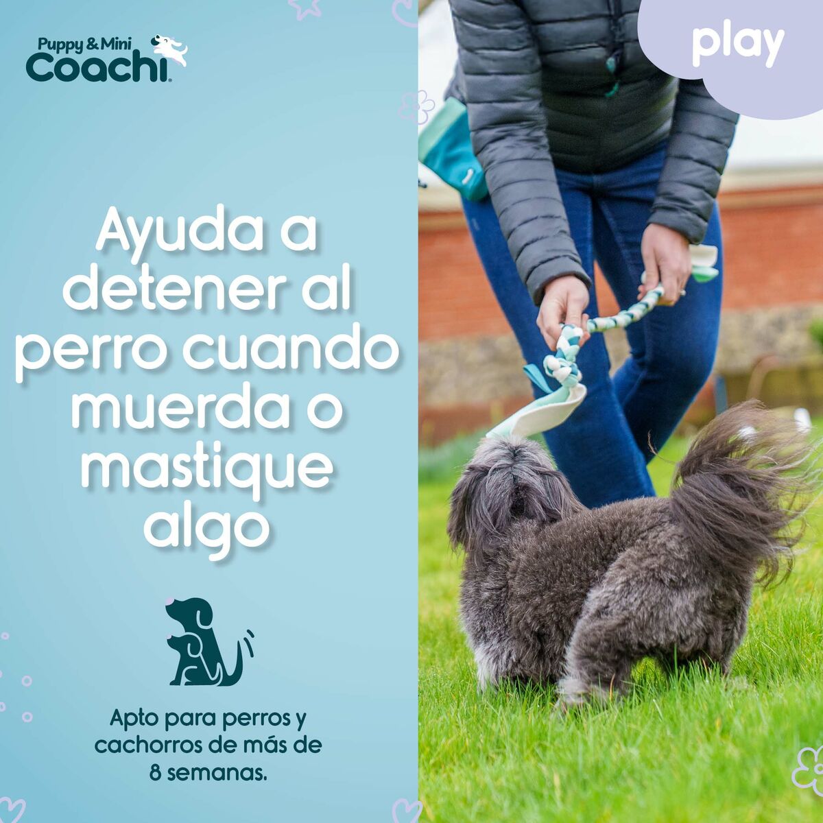 Hundsele Coachi