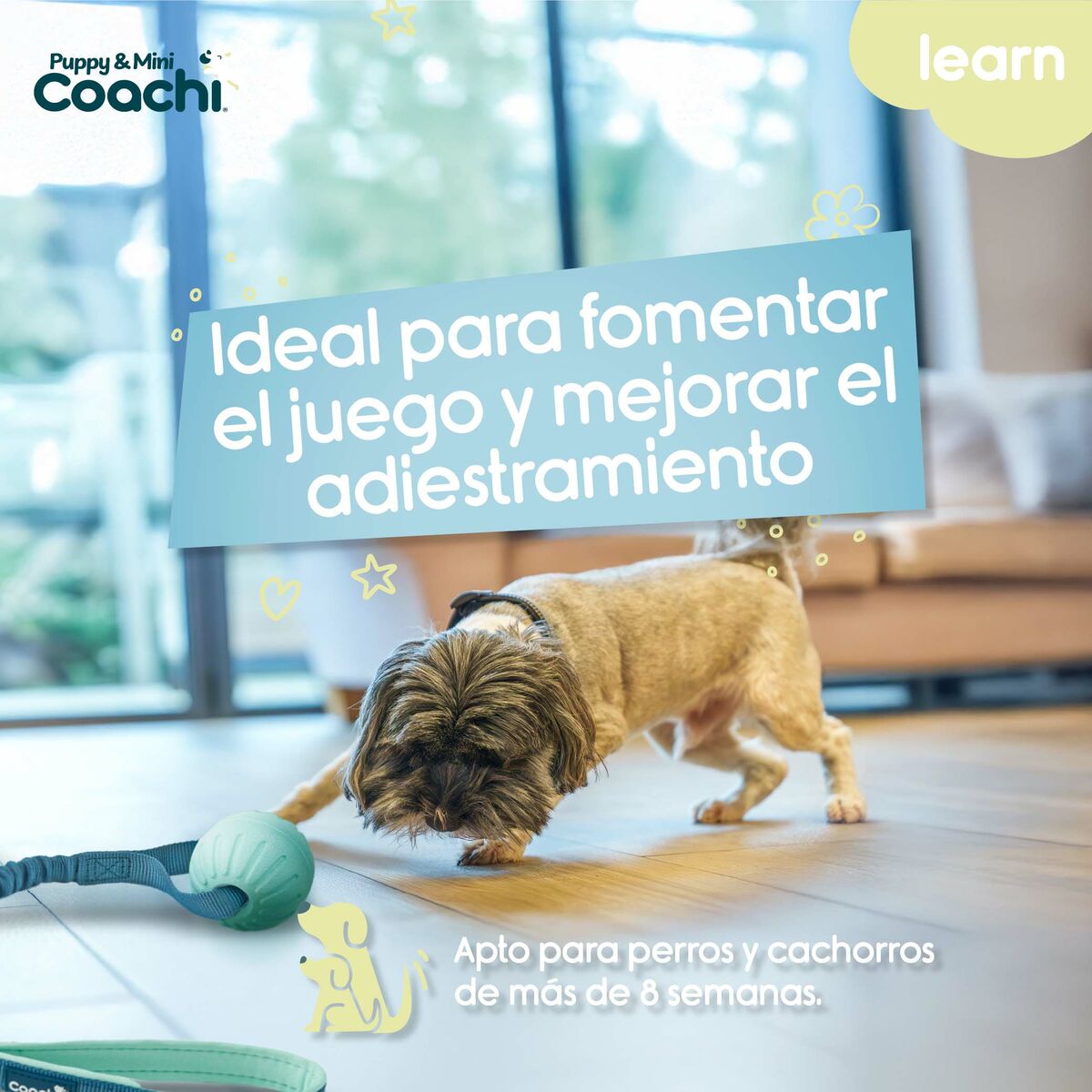 Hundsele Coachi
